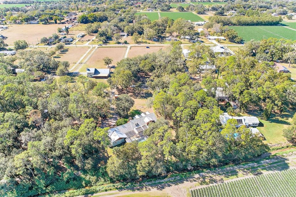 2635 North Dover Road Dover, FL 33527 - Photo 83 of 84