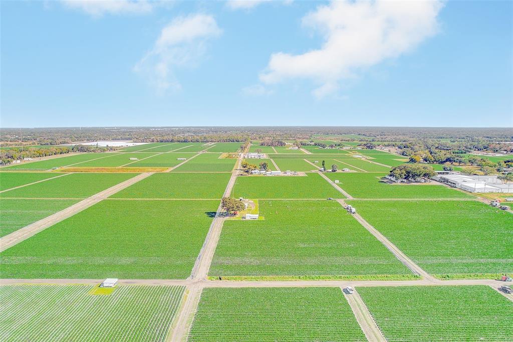 2635 North Dover Road Dover, FL 33527 - Photo 84 of 84 a view of an outdoor space and tennis court