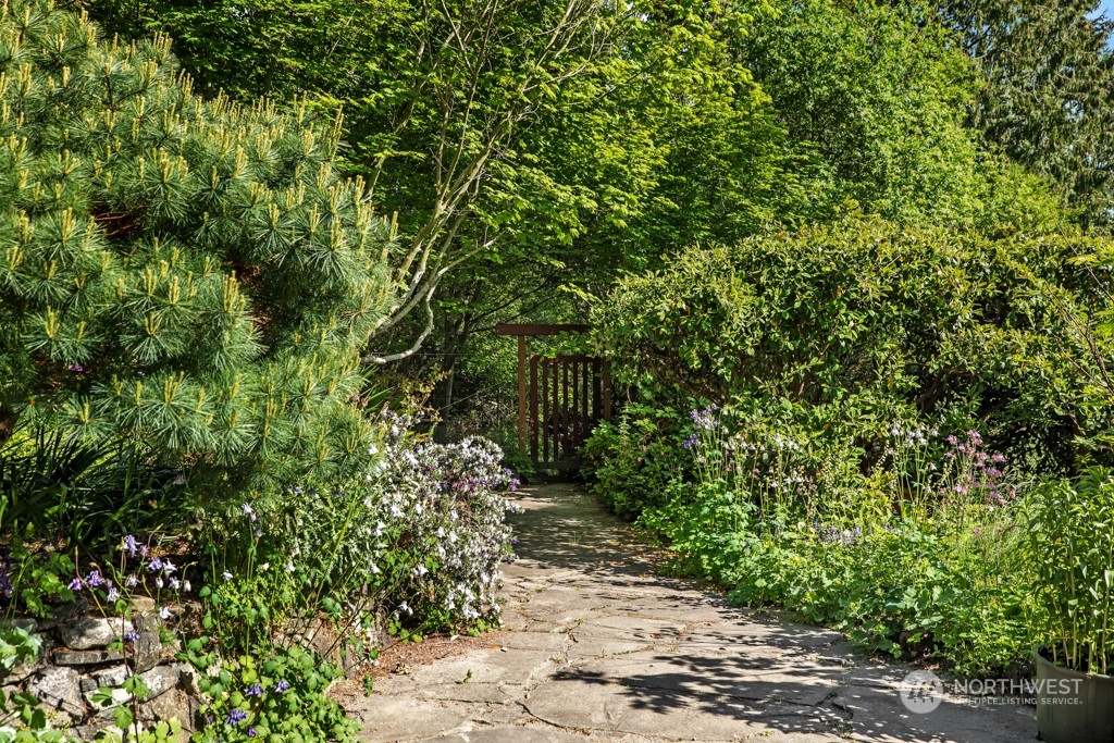 5610 Cape George Road Port Townsend, WA 98368 - Photo 29 of 37 a picture of a tree