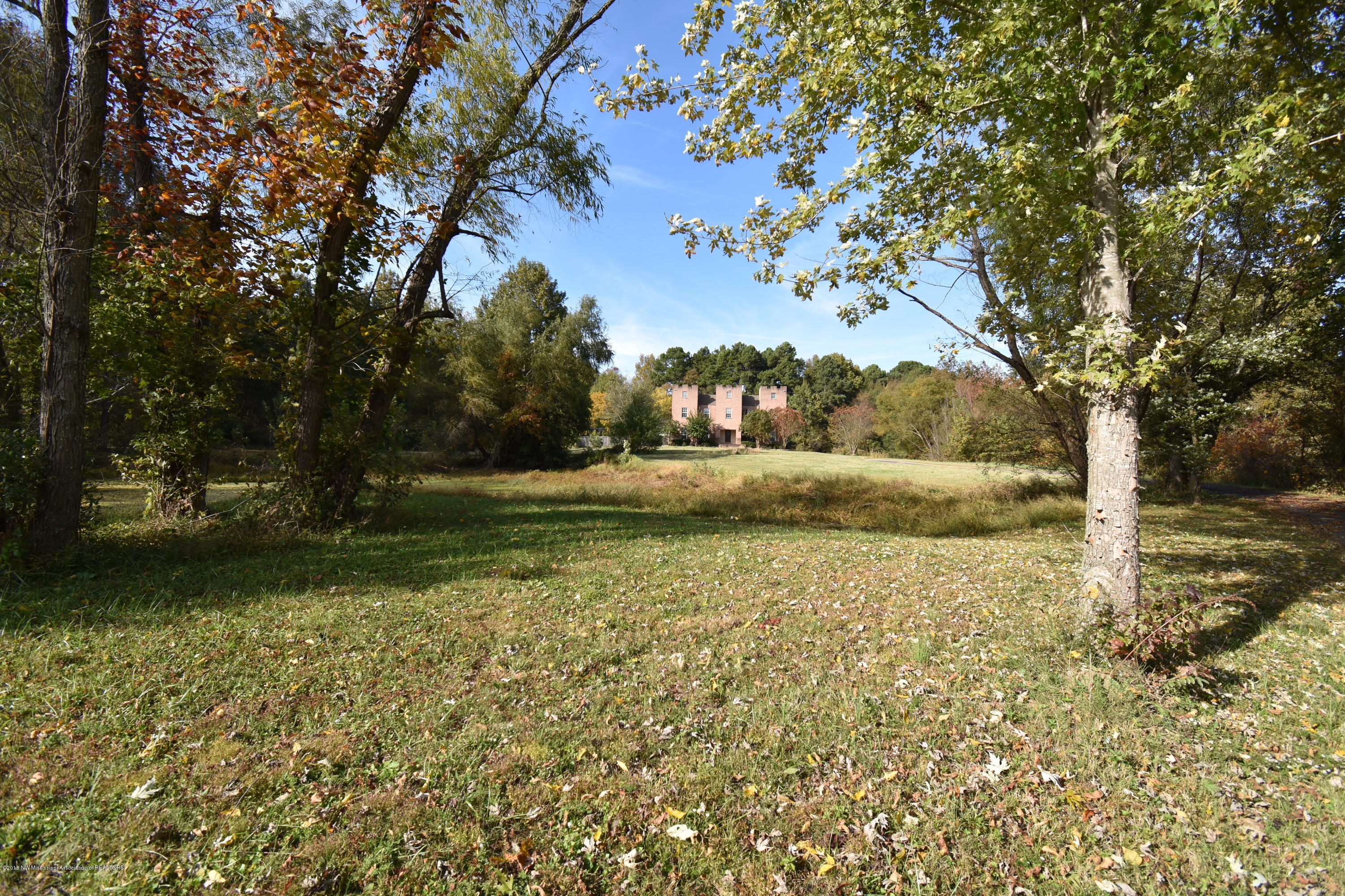 2750 Dean Road Nesbit, MS 38651 - Photo 1 of 28 over 4 acres