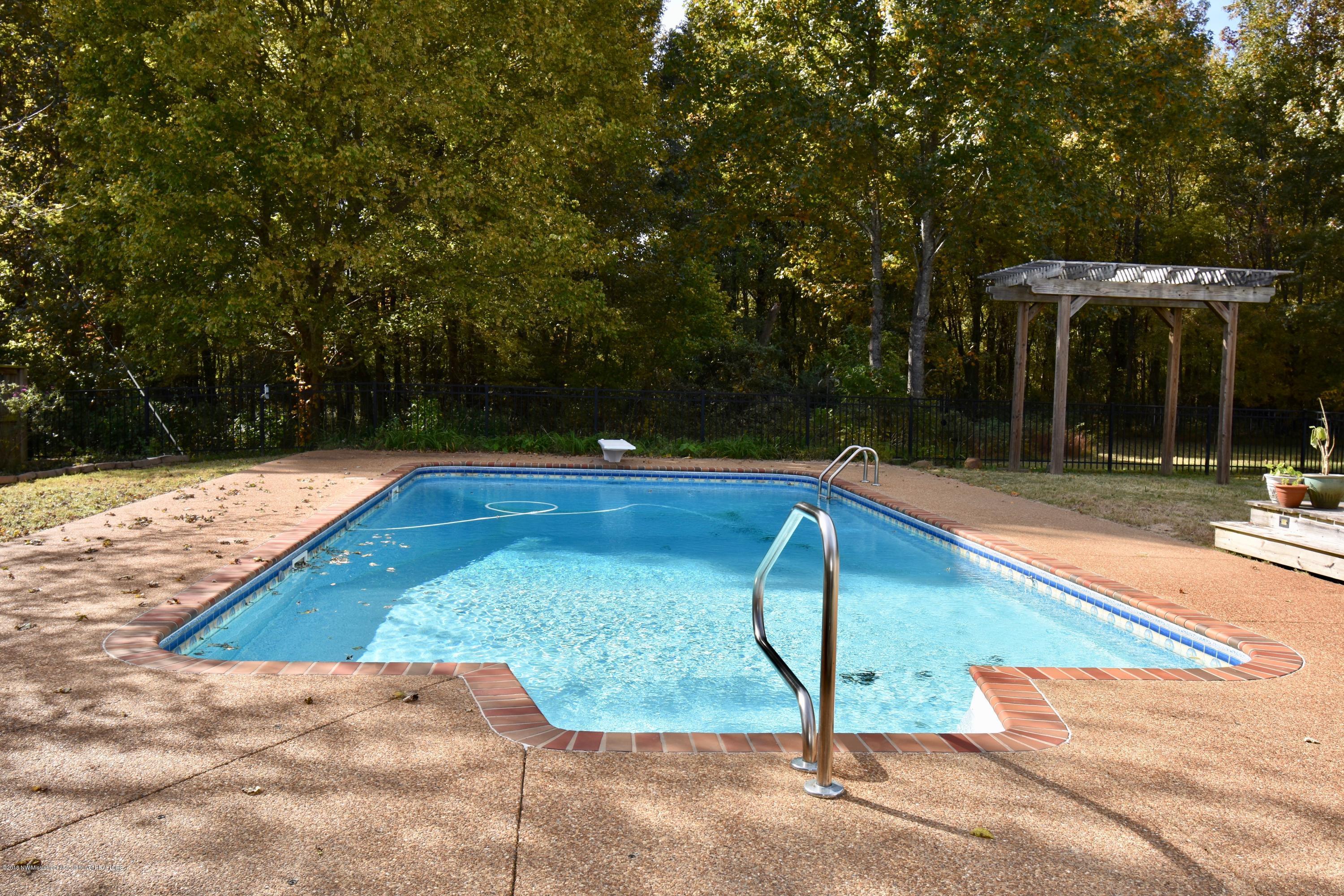 2750 Dean Road Nesbit, MS 38651 - Photo 27 of 28 Saltwater Pool