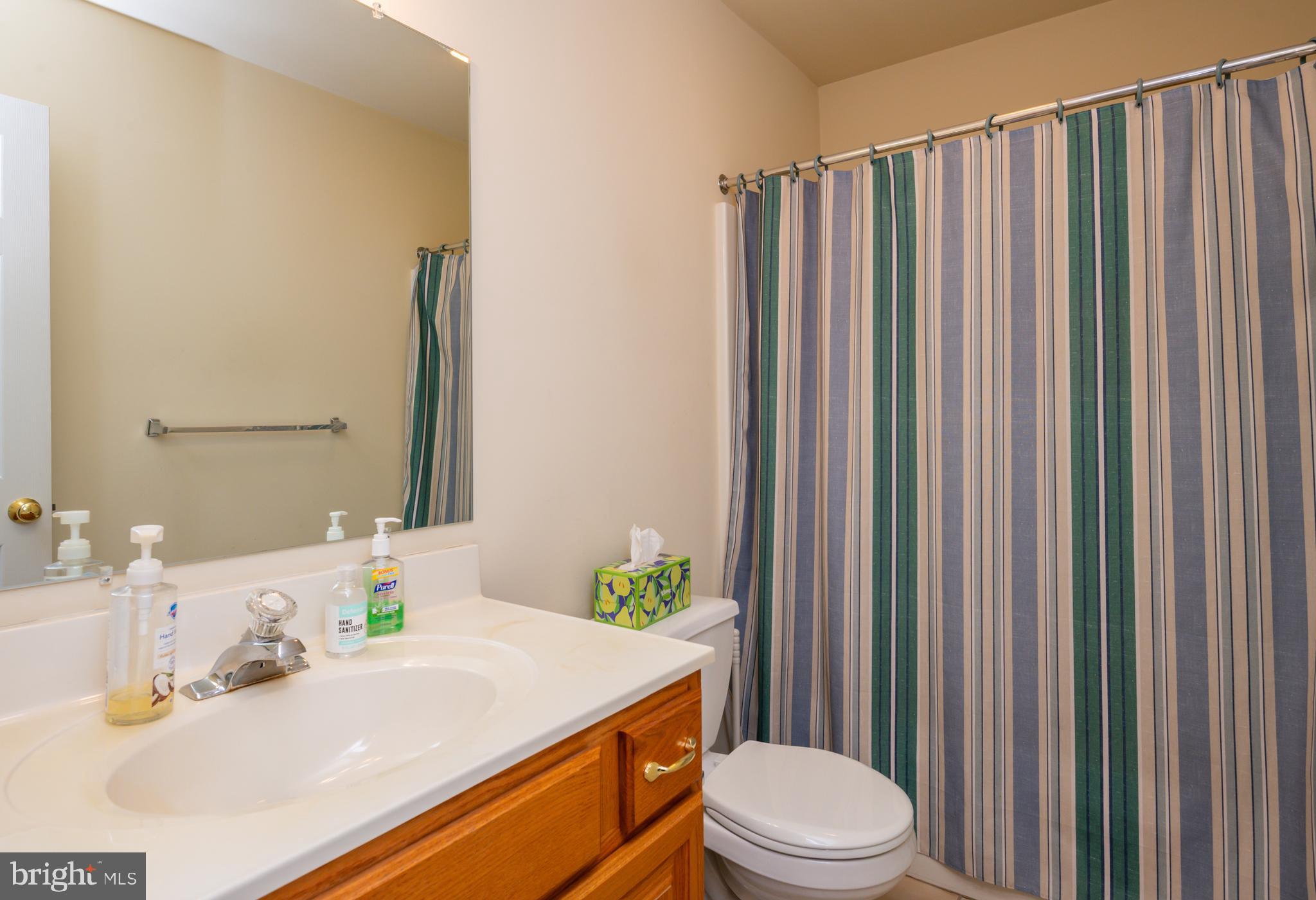 592 Wolfe Lane Mohnton, PA 19540 - Photo 22 of 31 a bathroom with a sink a toilet and shower curtain