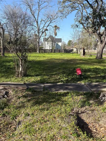 a view of a park with large trees