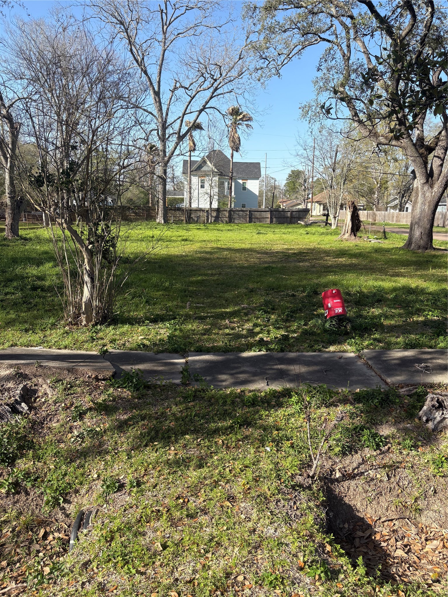 a view of a park with large trees