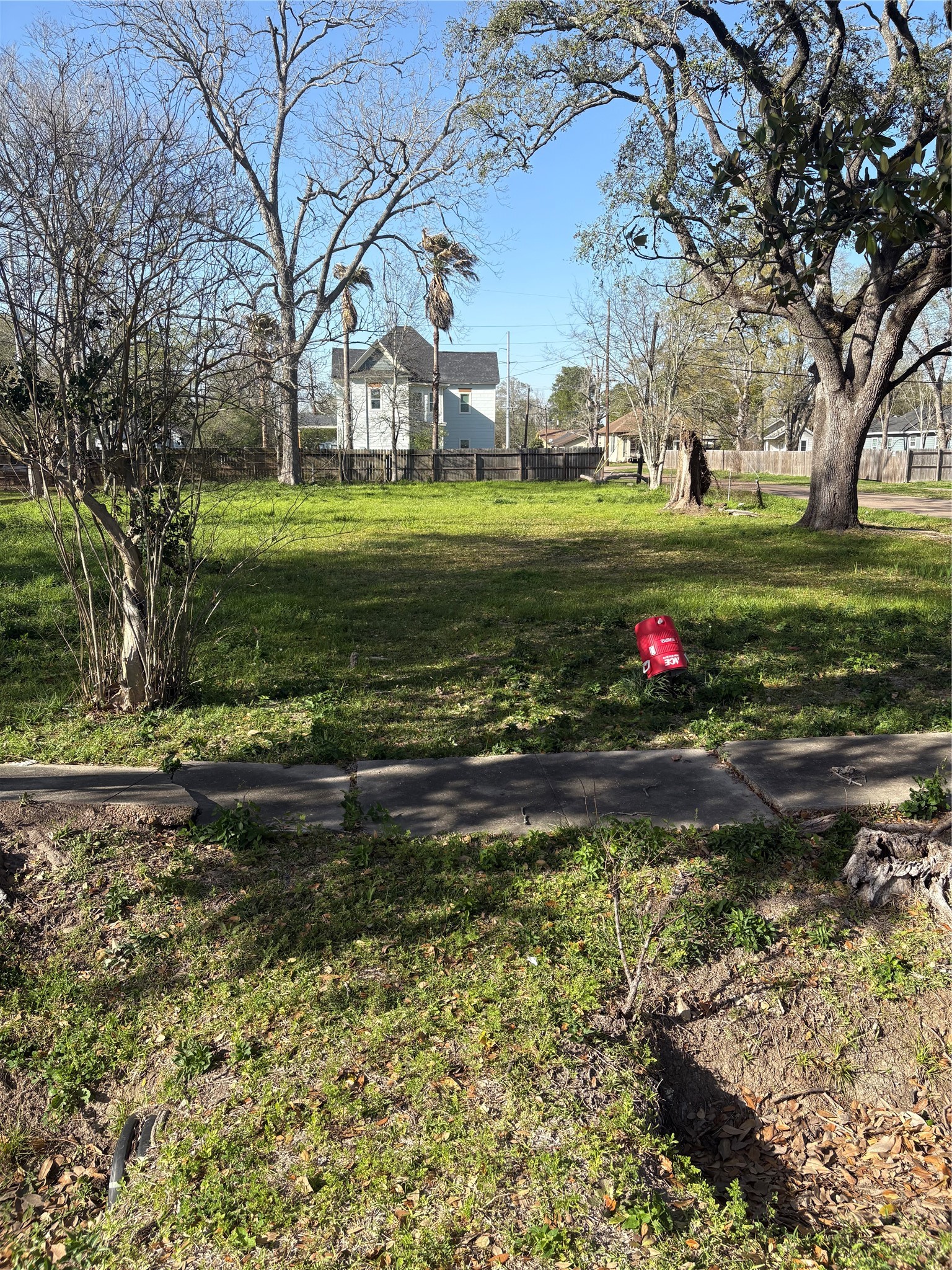 1110 Pipkin Street Beaumont, TX 77705 - Photo 3 of 6 a view of a park with large trees
