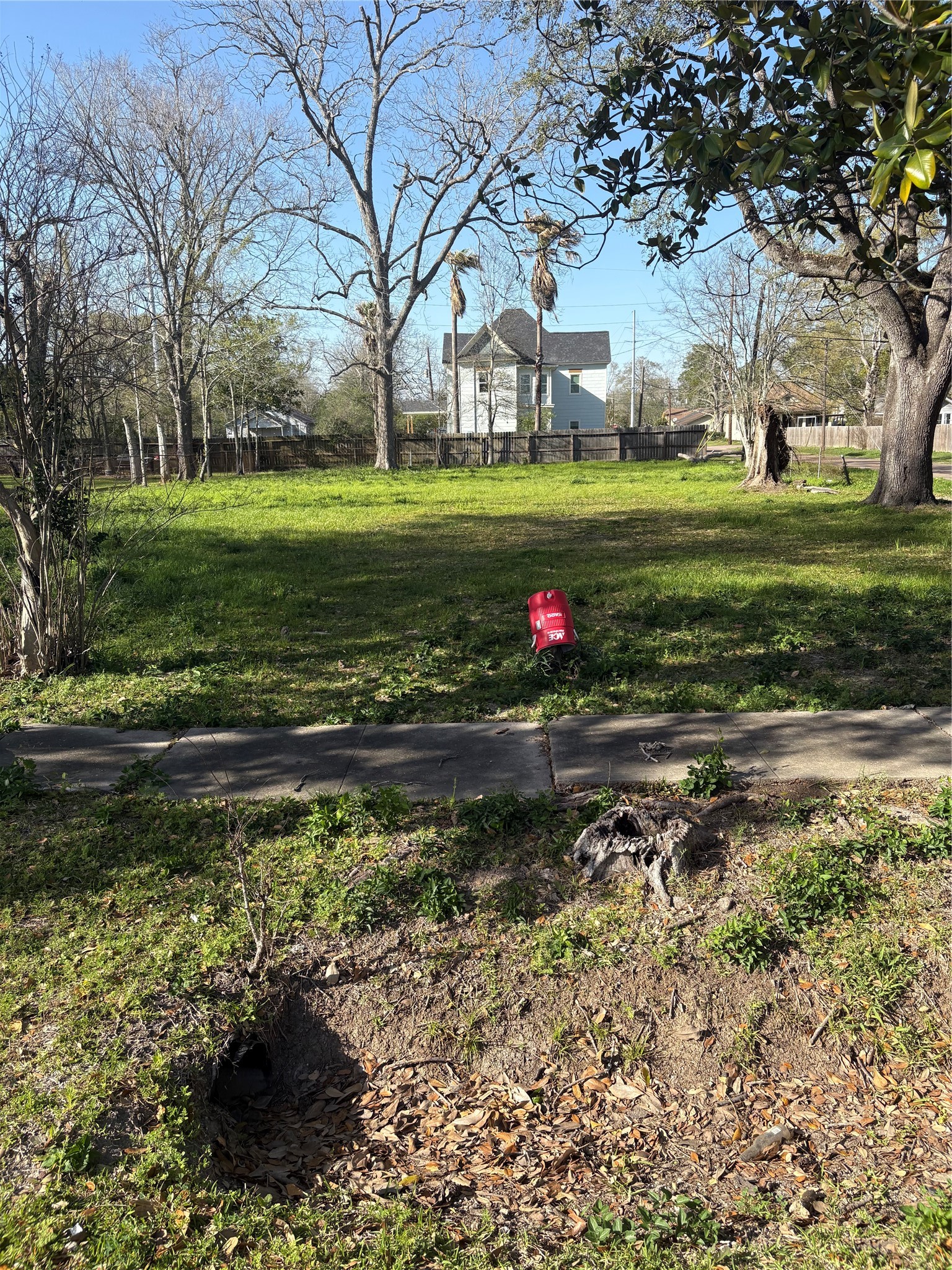 1110 Pipkin Street Beaumont, TX 77705 - Photo 4 of 6 a view of a park that has a large tree