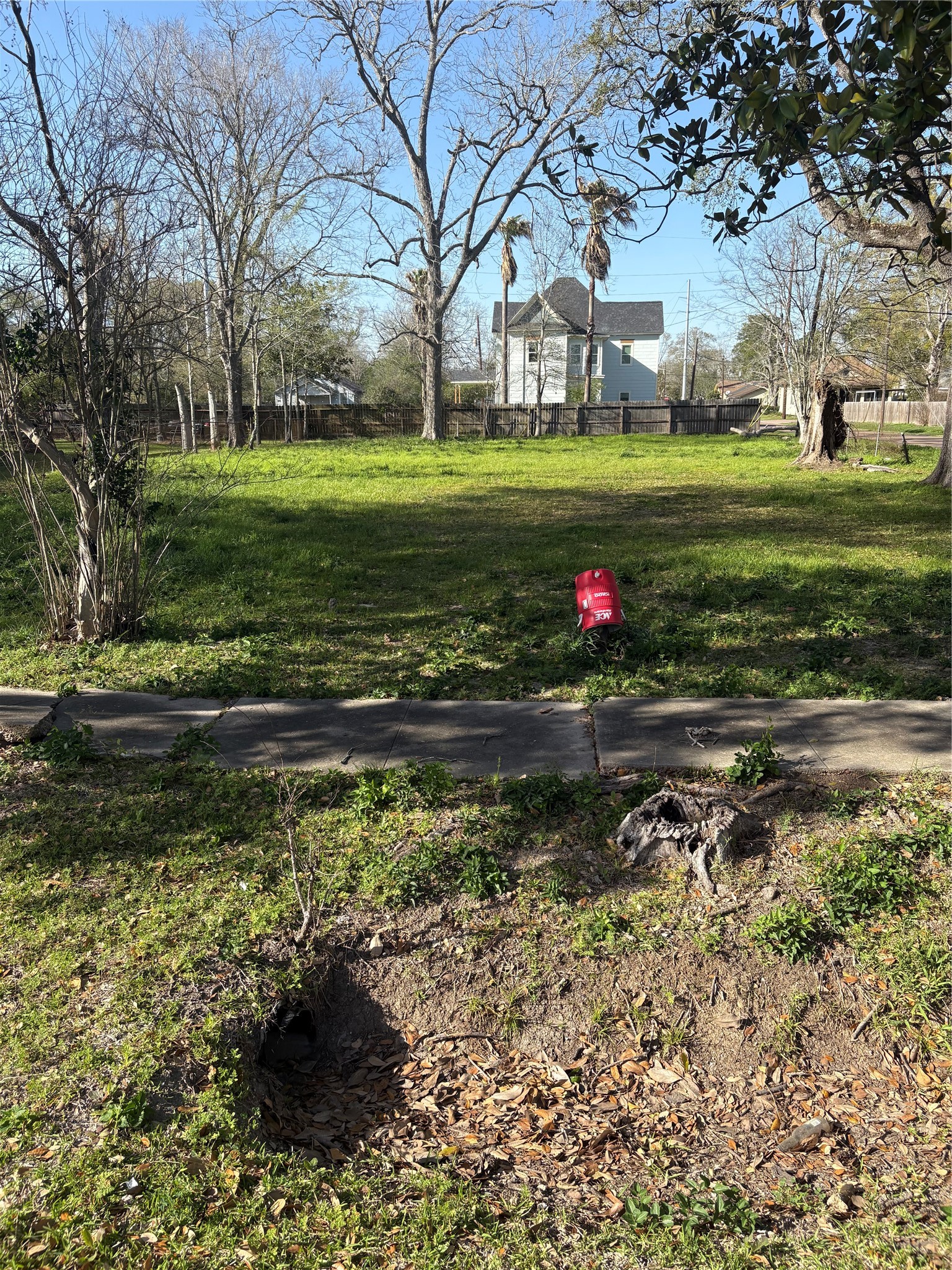 1110 Pipkin Street Beaumont, TX 77705 - Photo 5 of 6 a view of a park that has a large tree