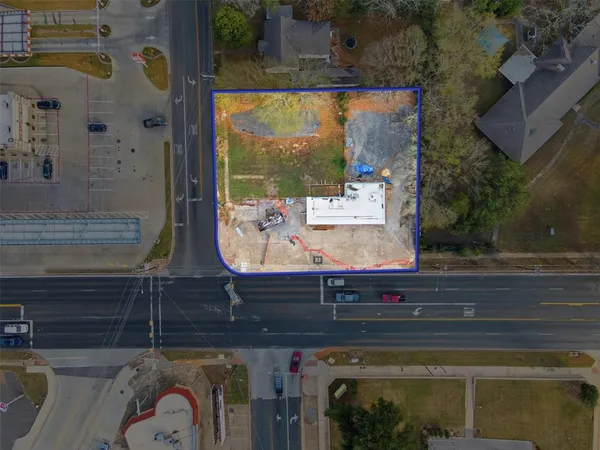 a room with wooden floor and a potted plant