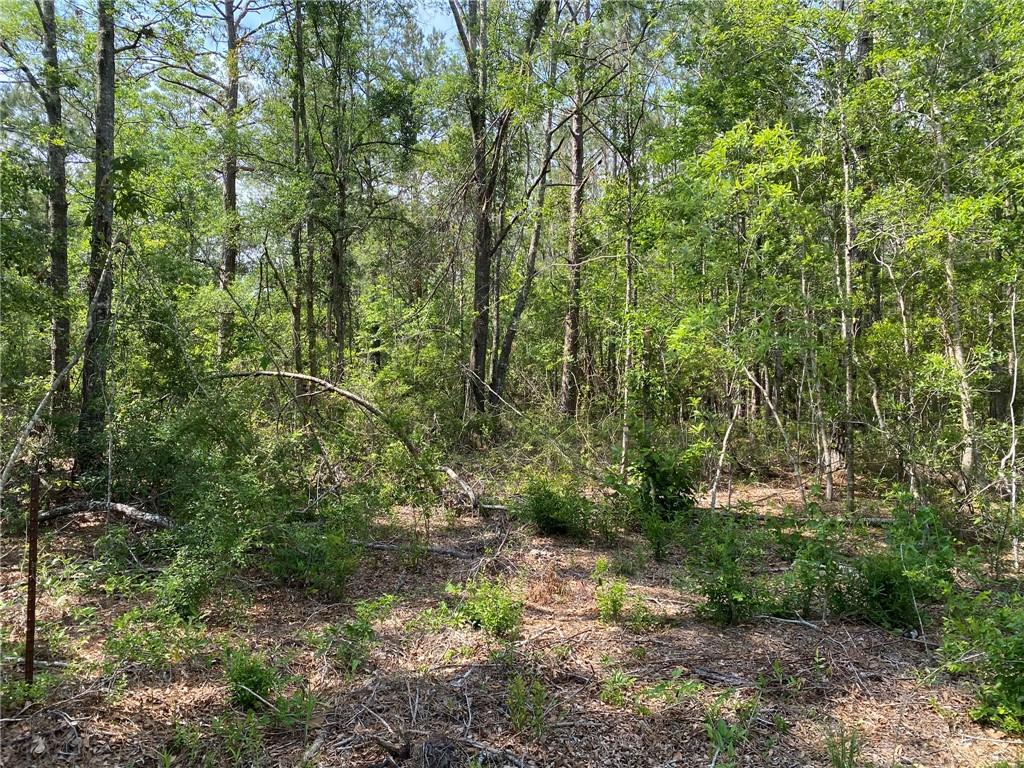 Lot D Baham Road Covington, LA 70433 - Photo 2 of 5 Gallery Image 2
