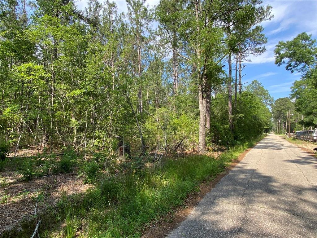 Lot D Baham Road Covington, LA 70433 - Photo 3 of 5 Gallery Image 3