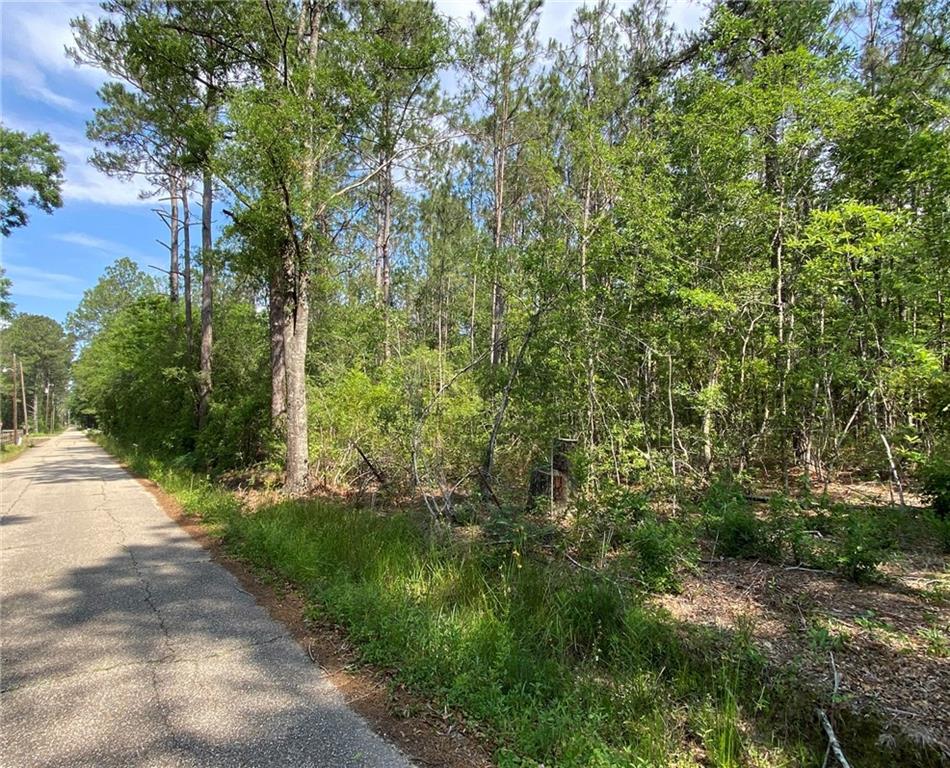Lot D Baham Road Covington, LA 70433 - Photo 4 of 5 Gallery Image 4