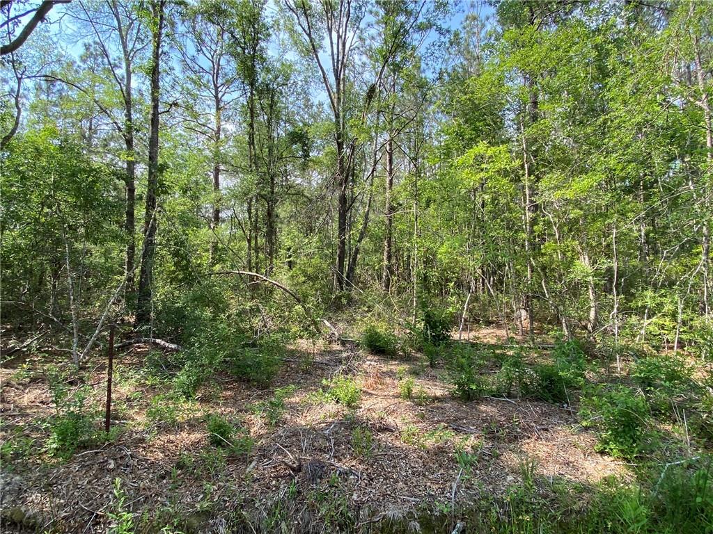 Lot D Baham Road Covington, LA 70433 - Photo 5 of 5 Gallery Image 5