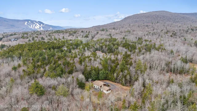 a view of a dry yard