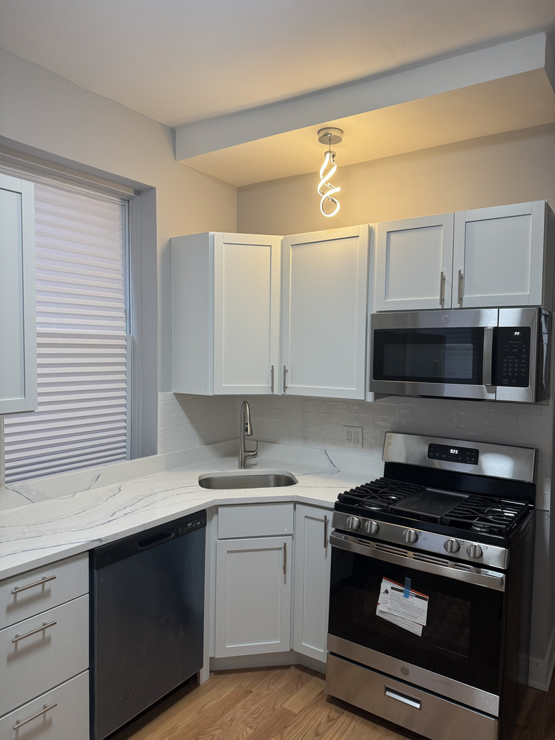 1540 South Ridgeway Avenue Chicago, IL 60623 - Photo 2 of 15