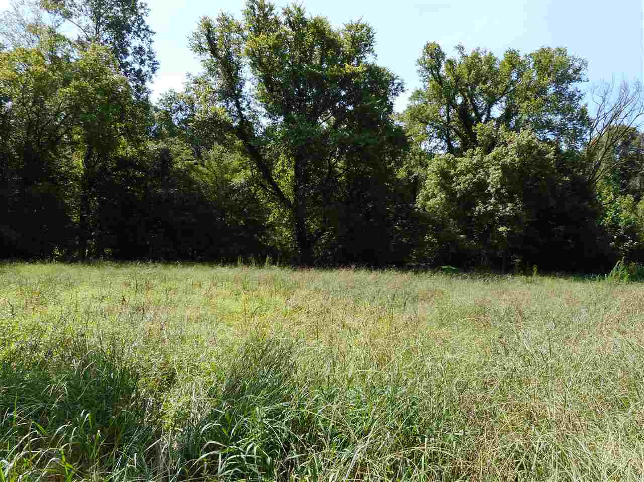 0 Graball Freerun Road Yazoo City, MS 39194 - Photo 13 of 36 Photo 15