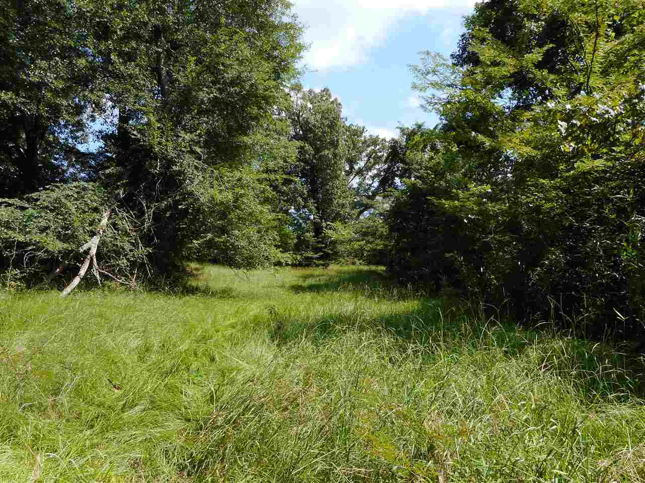 0 Graball Freerun Road Yazoo City, MS 39194 - Photo 14 of 36 Photo 16