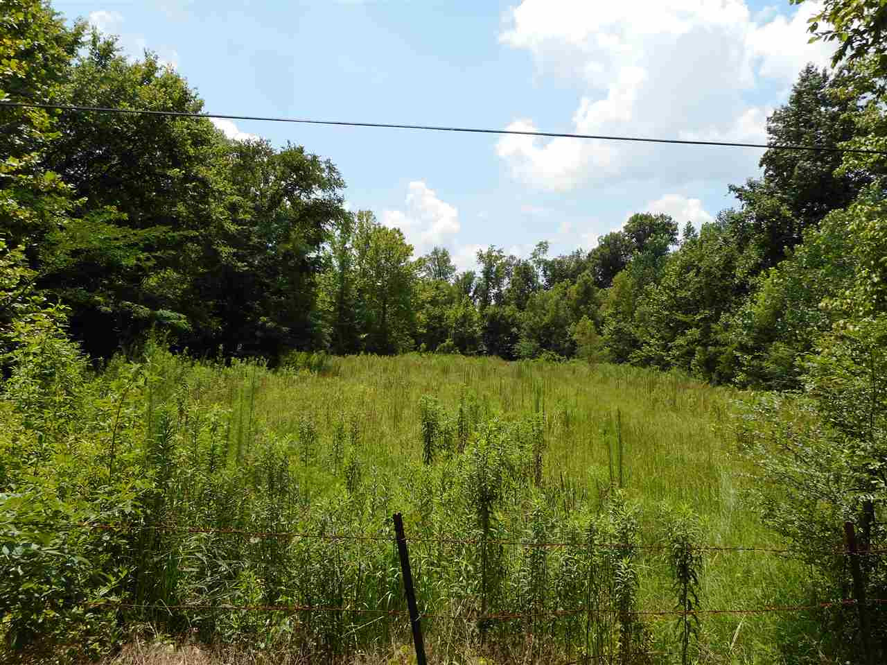 0 Graball Freerun Road Yazoo City, MS 39194 - Photo 24 of 36 Photo 26