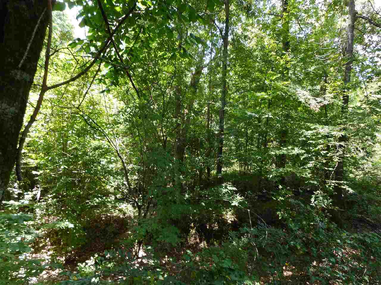 0 Graball Freerun Road Yazoo City, MS 39194 - Photo 28 of 36 Photo 31