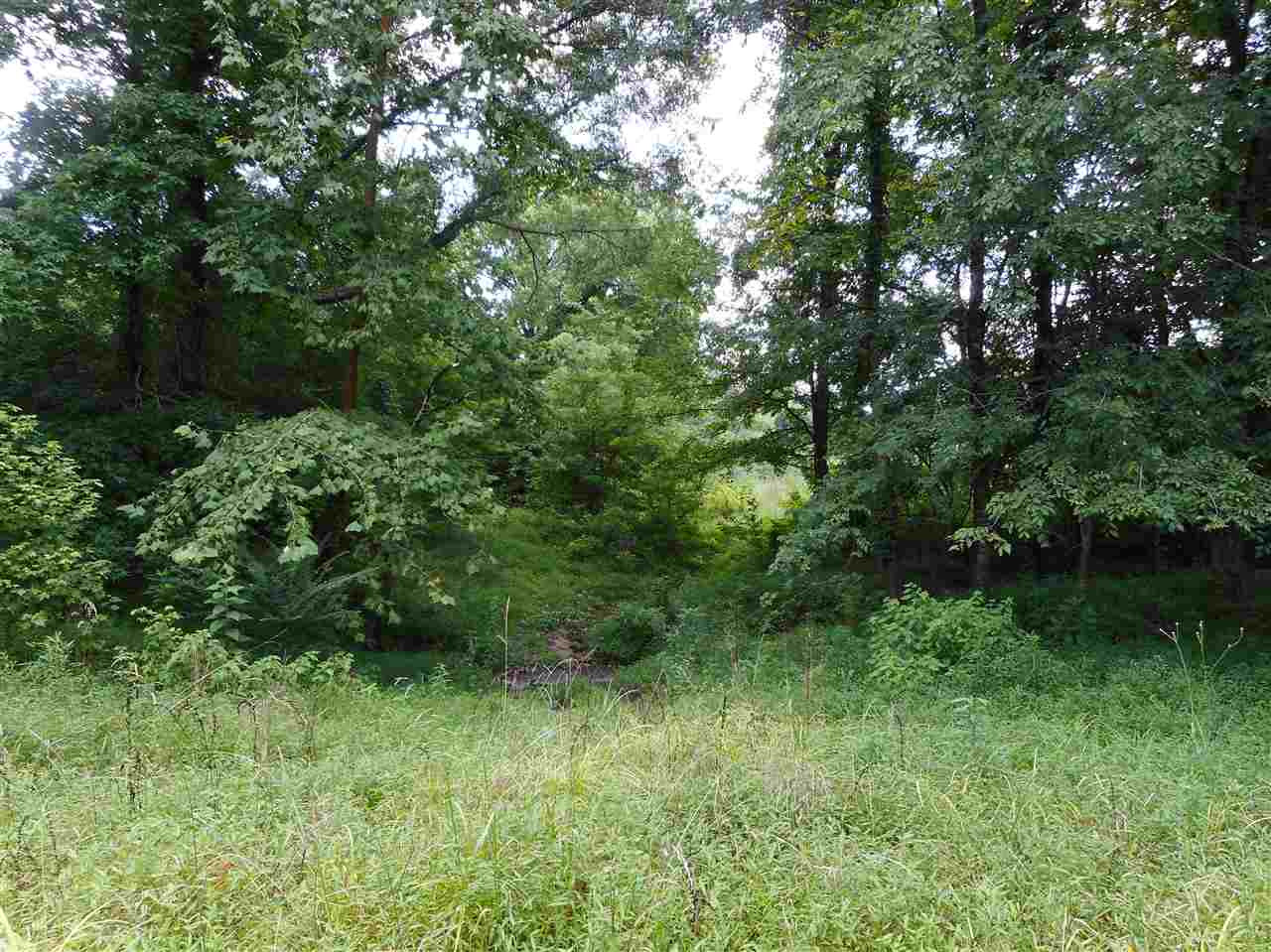 0 Graball Freerun Road Yazoo City, MS 39194 - Photo 31 of 36 Photo 34
