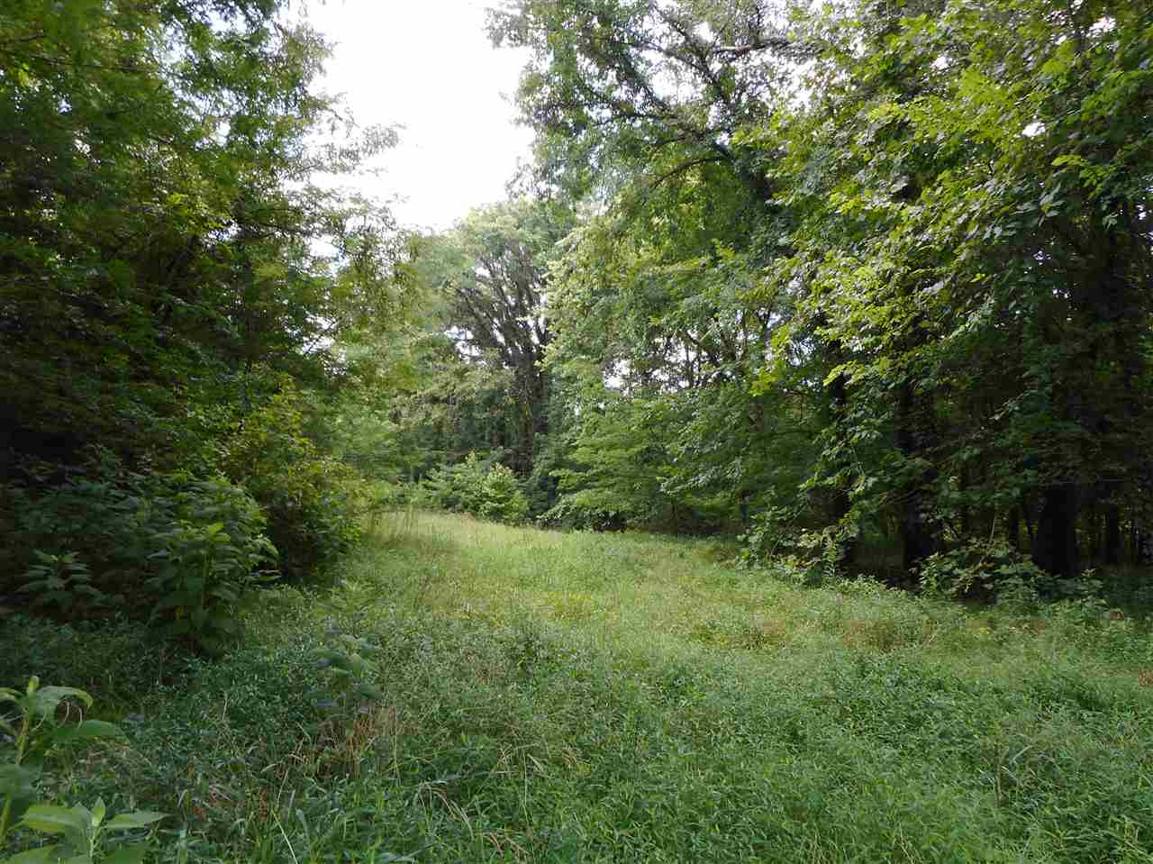 0 Graball Freerun Road Yazoo City, MS 39194 - Photo 33 of 36 Photo 36