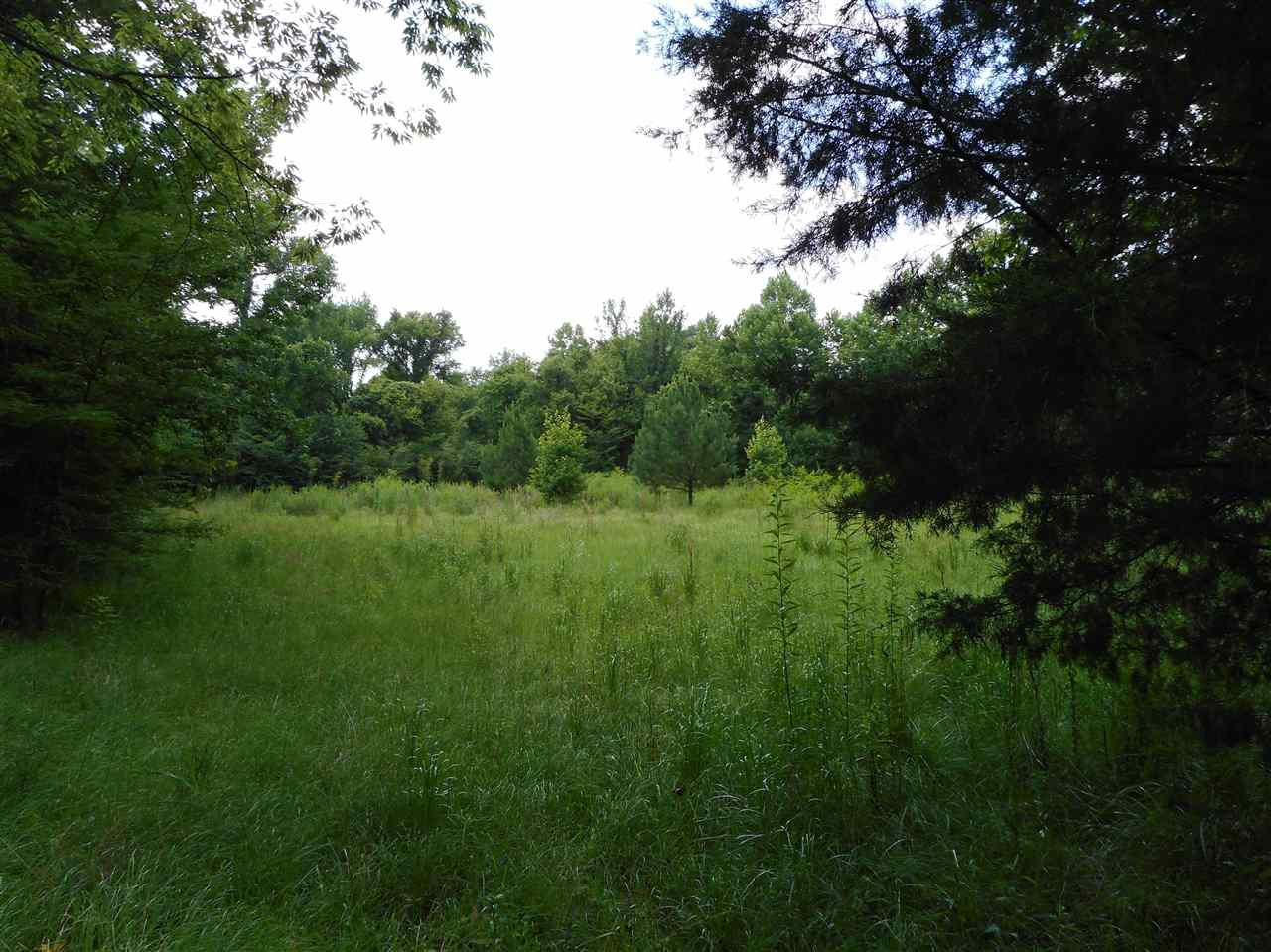 0 Graball Freerun Road Yazoo City, MS 39194 - Photo 34 of 36 Photo 37