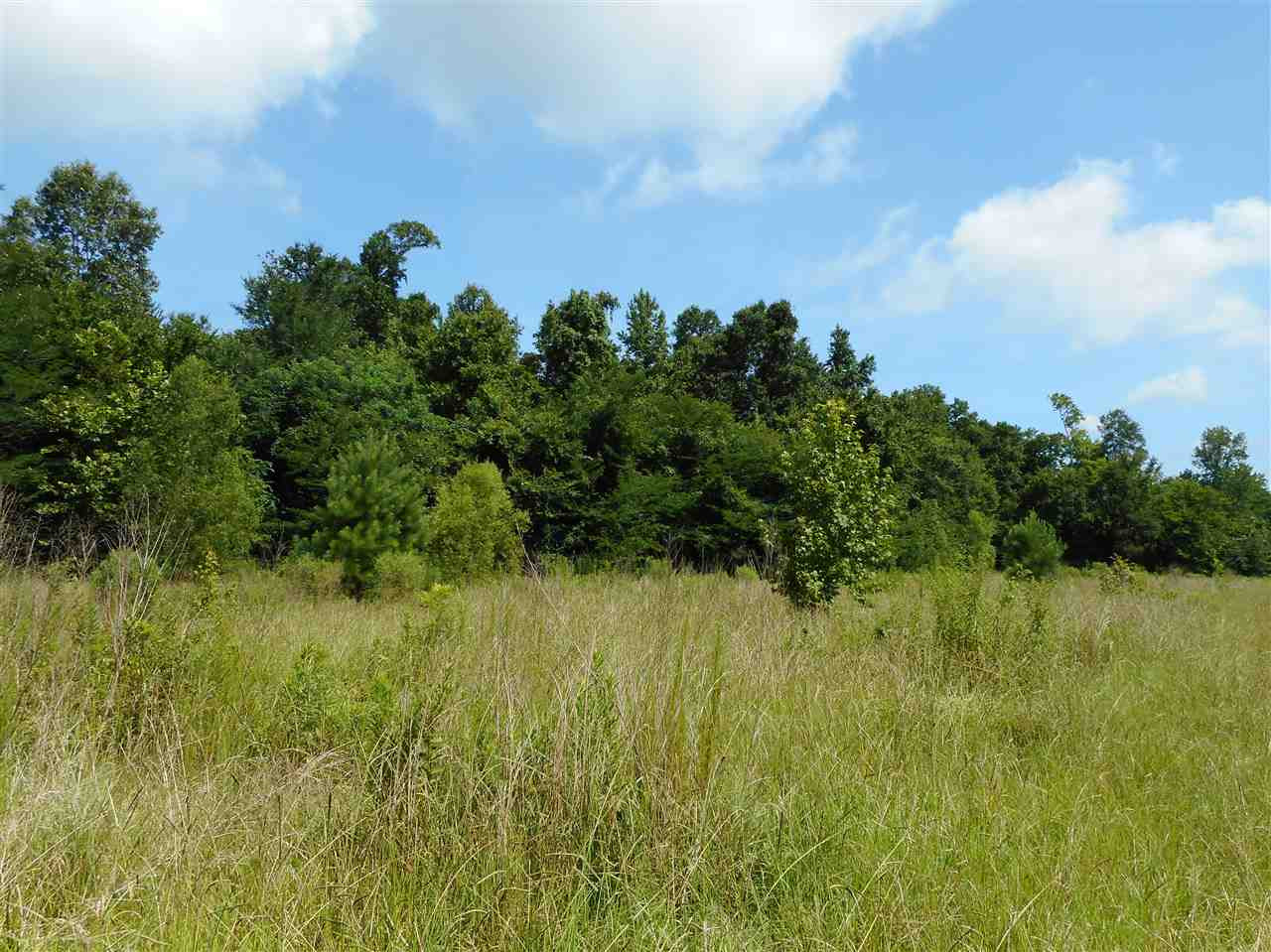0 Graball Freerun Road Yazoo City, MS 39194 - Photo 10 of 36 Photo 12
