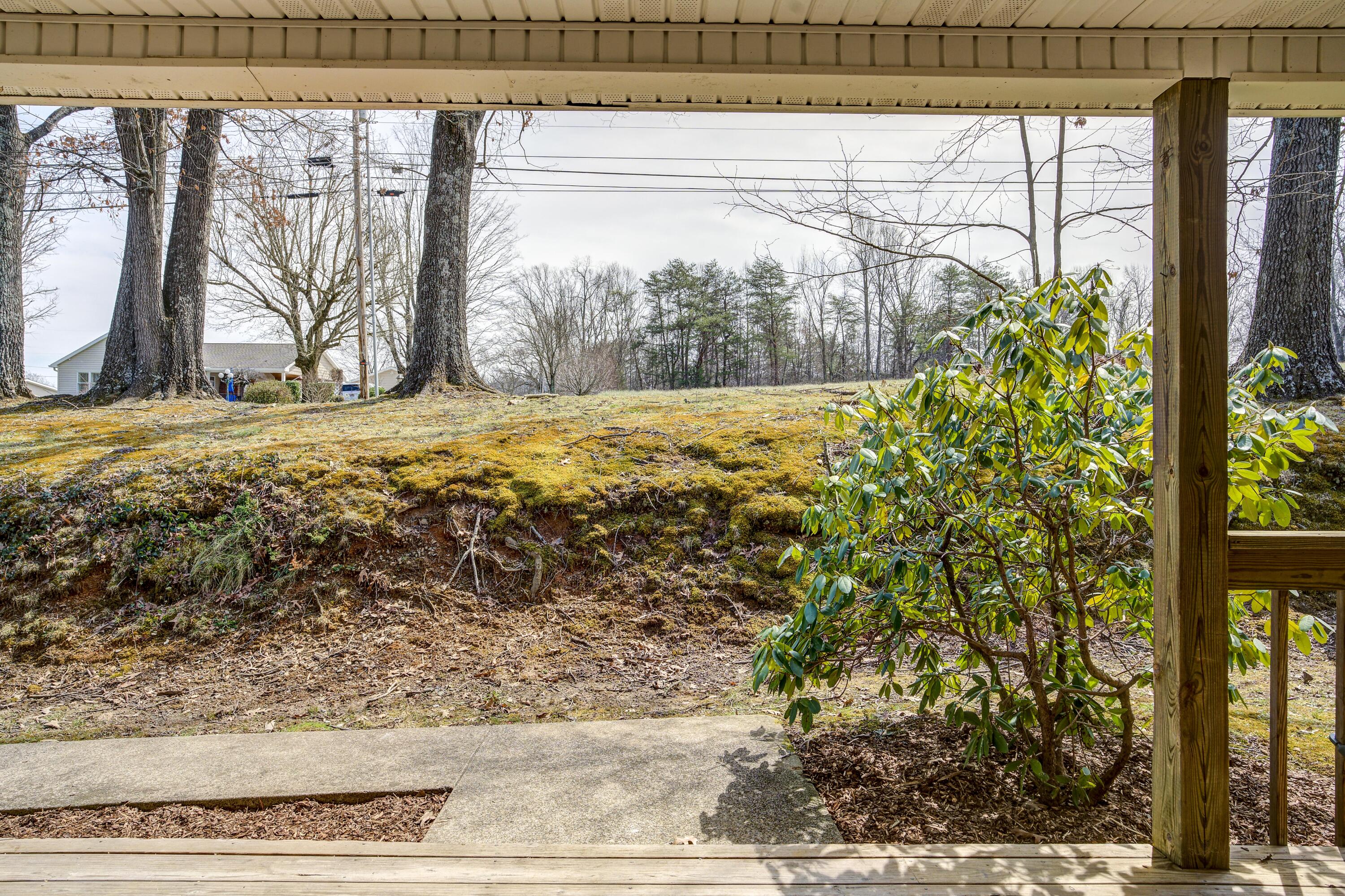3448 McKinley Road Johnson City, TN 37604 - Photo 5 of 42 View to street