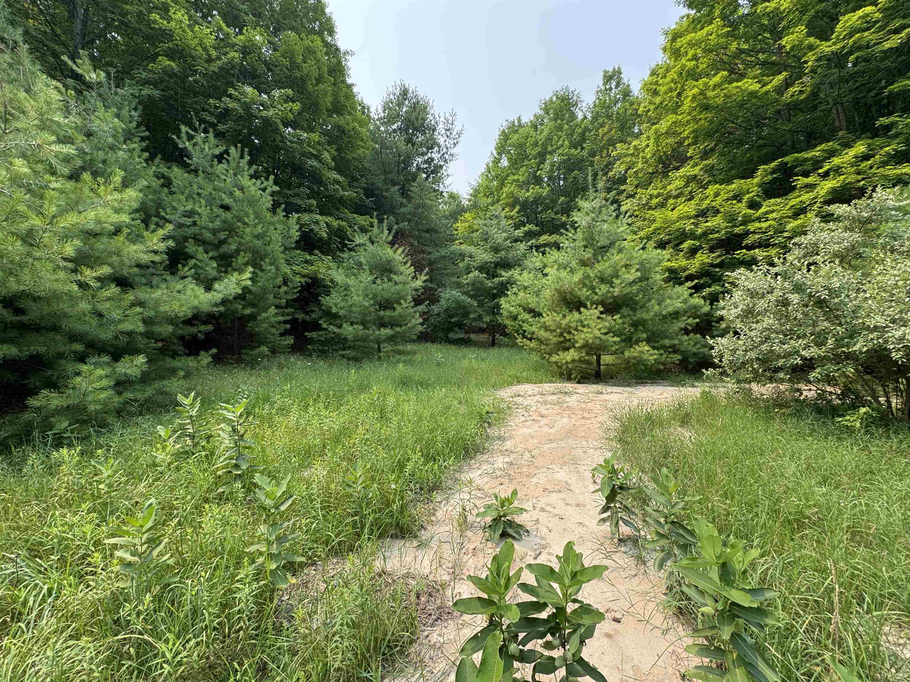 Lot #4 East Bellinger Road, Unit BELLINGER ESTATES Cedar, MI 49621 - Photo 16 of 27