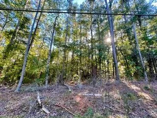 $10,000 | 33-acre West Pine Lake Drive, West Point, GA 31833