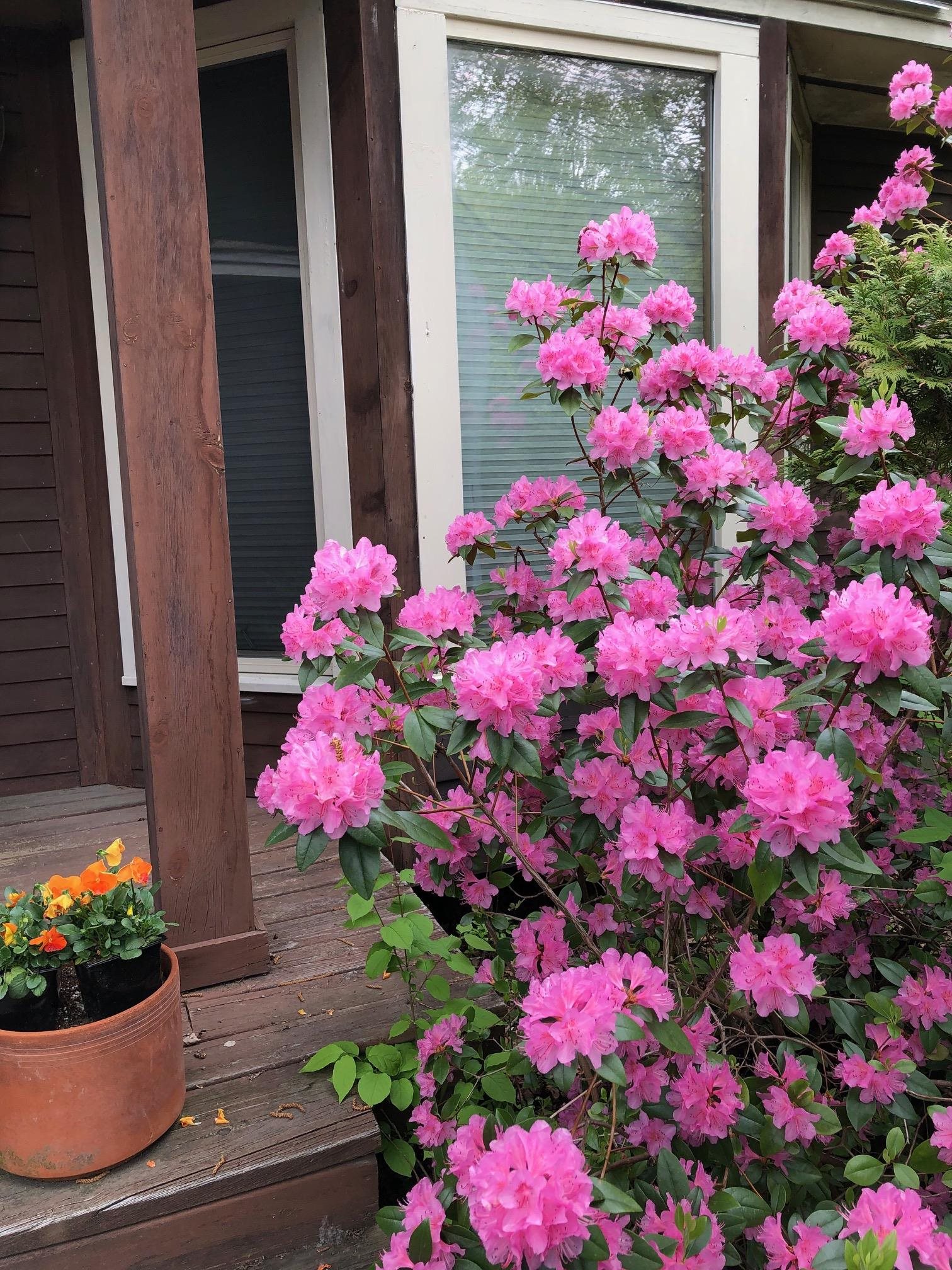 334 Mt Support Road Lebanon, NH 03766 - Photo 31 of 38