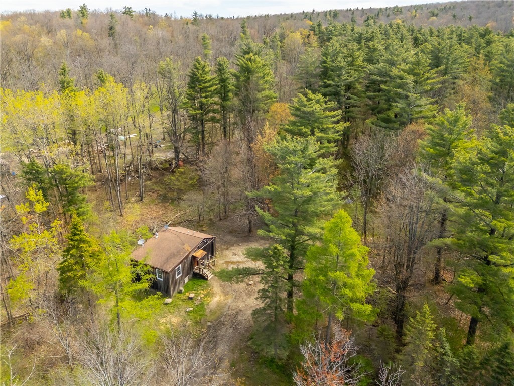 6057 Gulick Road Naples, NY 14512 - Photo 2 of 19