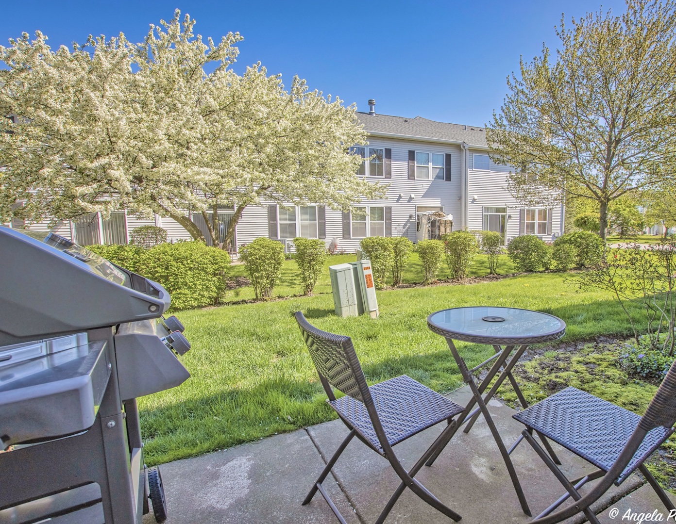 3012 Falling Waters Lane Lindenhurst, IL 60046 - Photo 18 of 21 a view of a chairs and table in backyard of the house