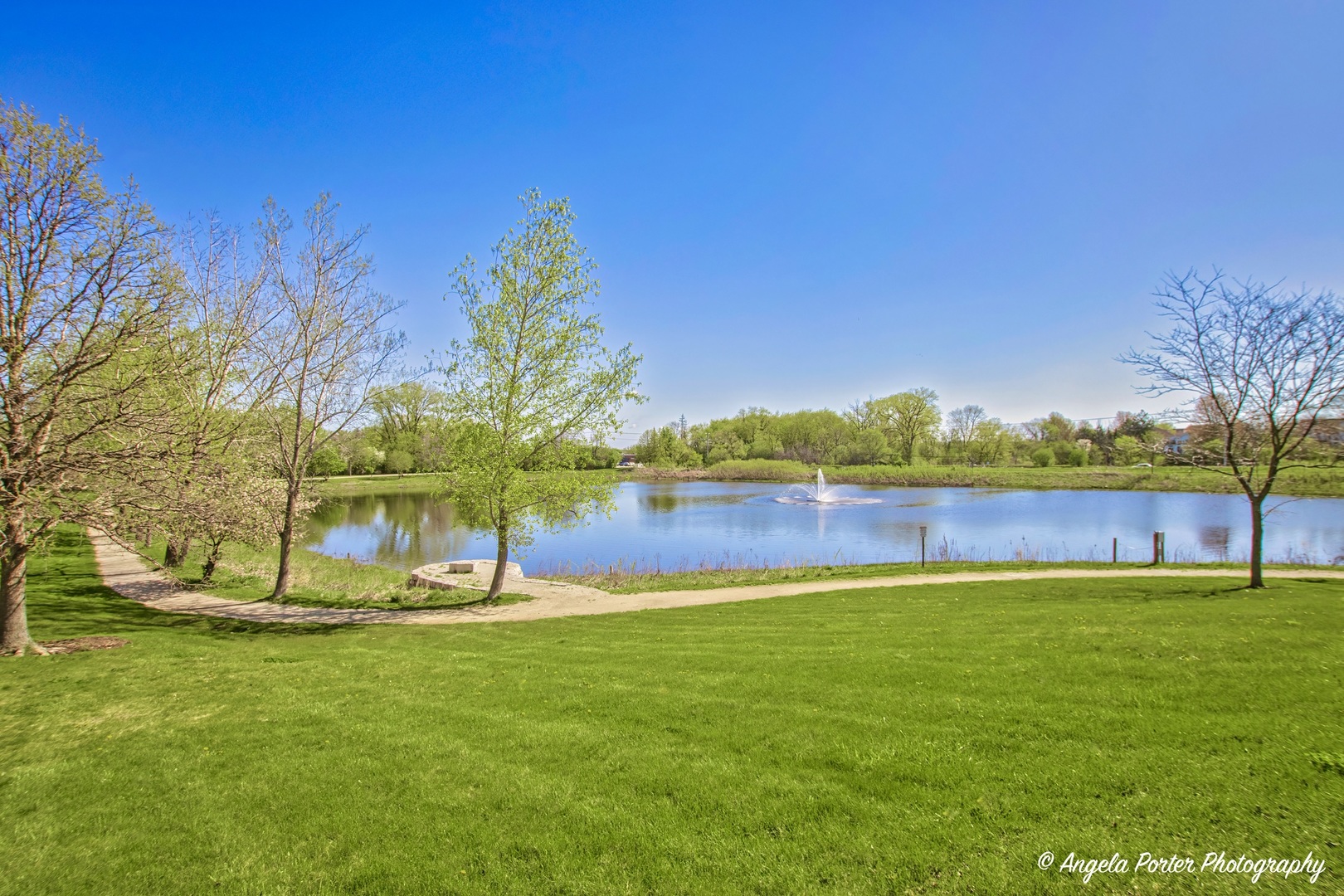 3012 Falling Waters Lane Lindenhurst, IL 60046 - Photo 21 of 21 a view of a lake with houses