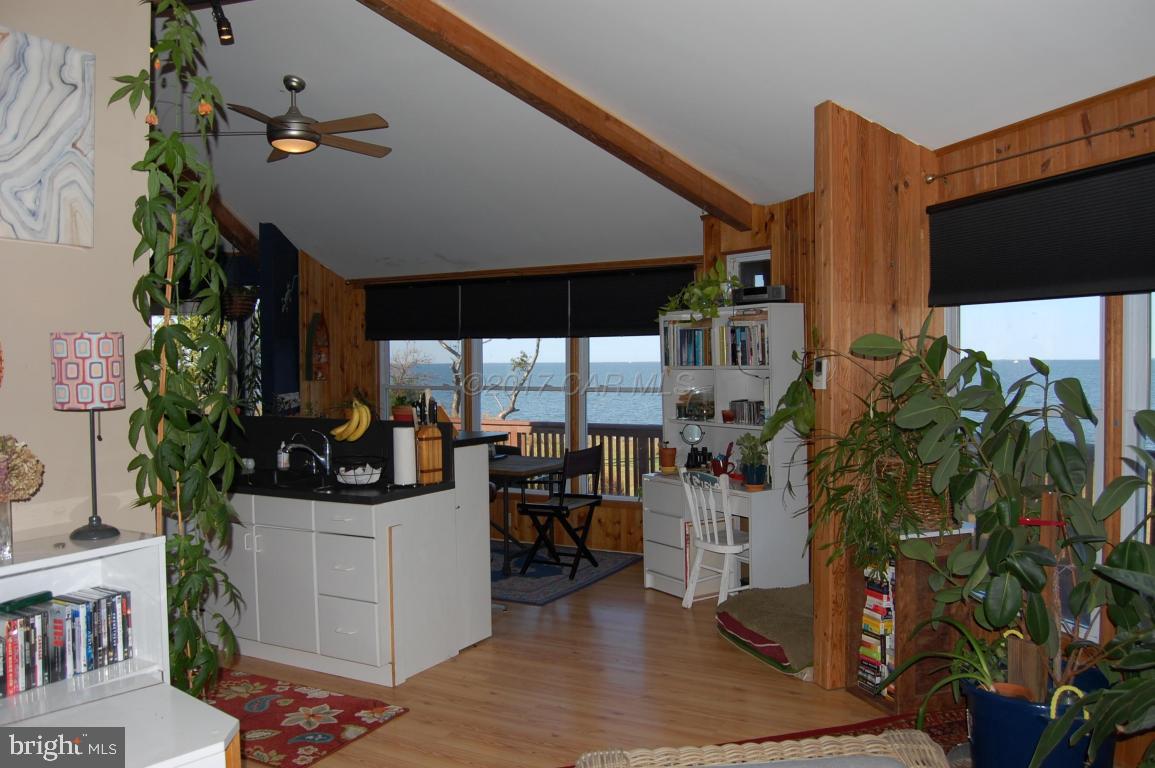 10770 Harrison Point Road Deal Island, MD 21821 - Photo 17 of 29 a living room with furniture and a potted plant