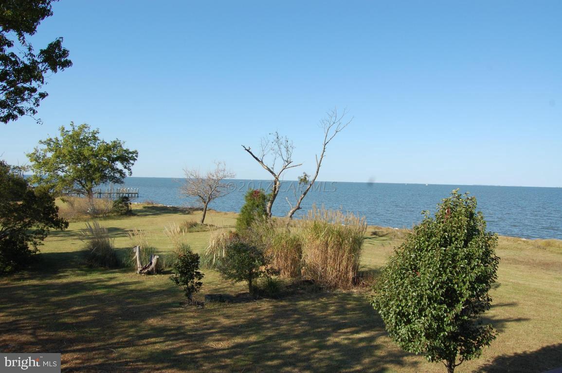 10770 Harrison Point Road Deal Island, MD 21821 - Photo 20 of 29 a view of a yard