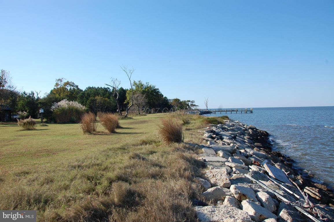 10770 Harrison Point Road Deal Island, MD 21821 - Photo 25 of 29 a view of a lake with houses