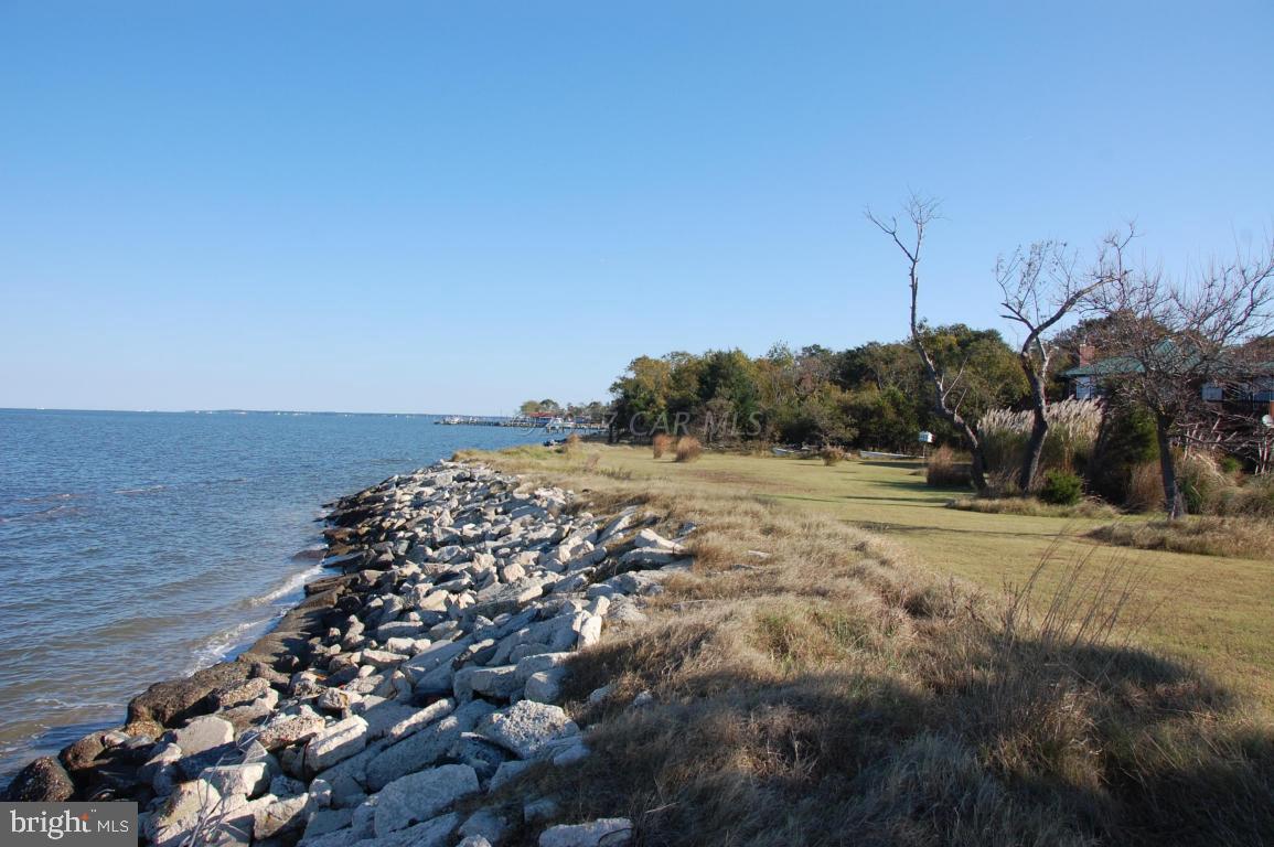 10770 Harrison Point Road Deal Island, MD 21821 - Photo 5 of 29