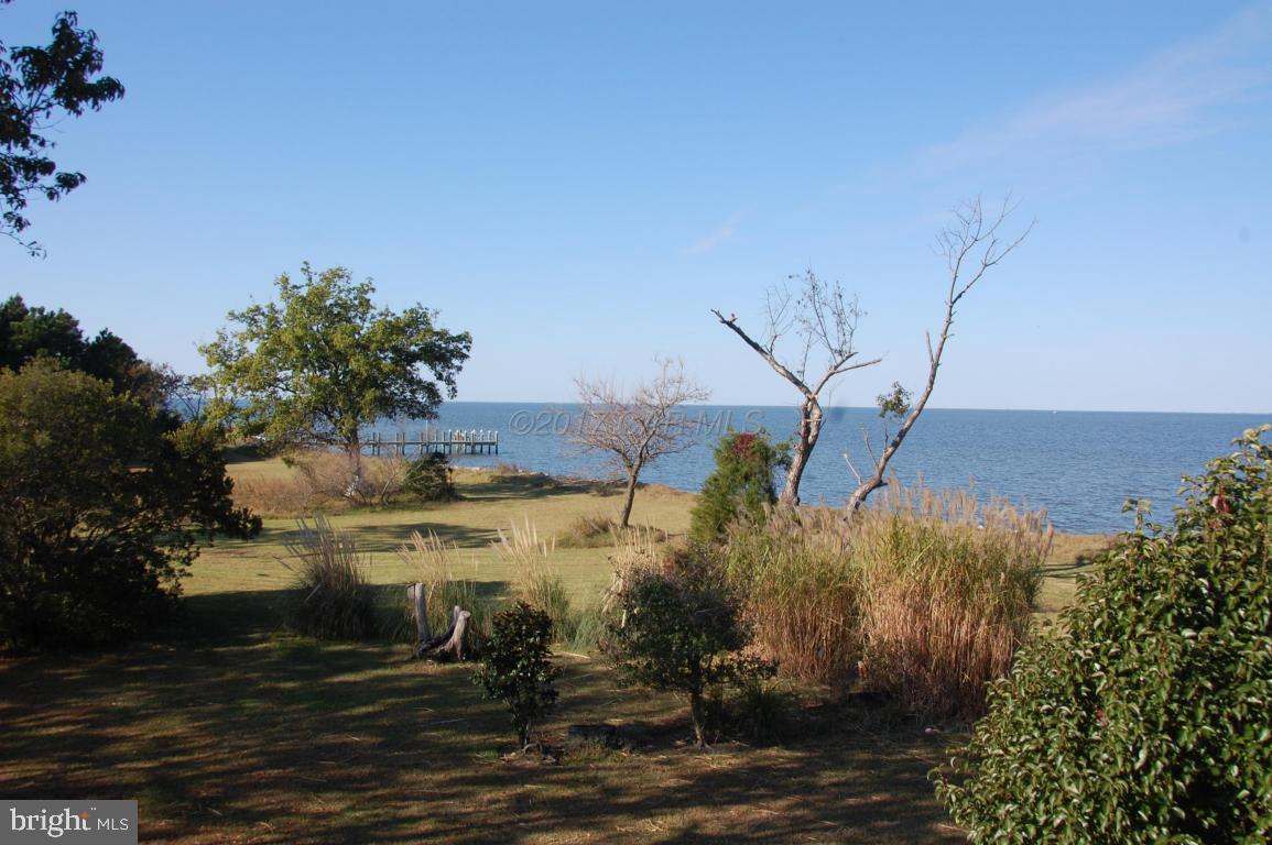 10770 Harrison Point Road Deal Island, MD 21821 - Photo 9 of 29