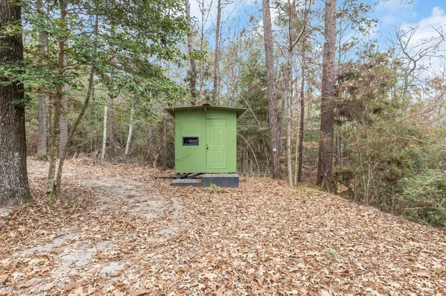 a view of a road with trees