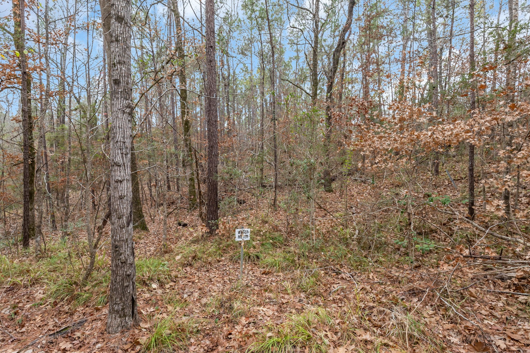 12498 Highway 69 Colmesneil, TX 75938 - Photo 42 of 50