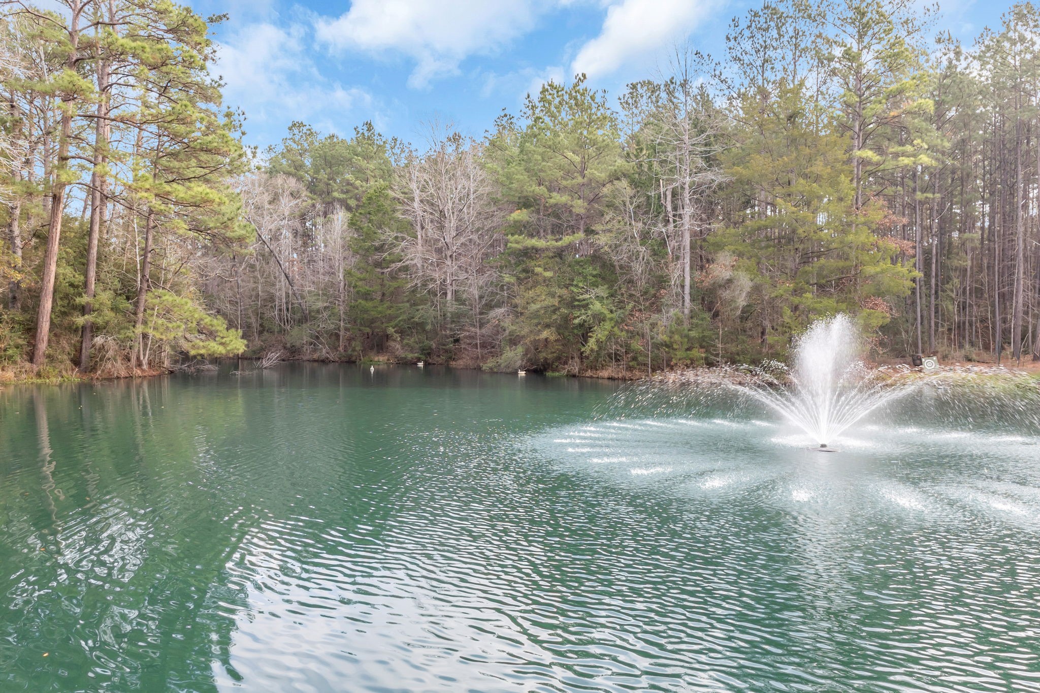 12498 Highway 69 Colmesneil, TX 75938 - Photo 47 of 50 a view of a lake from a yard