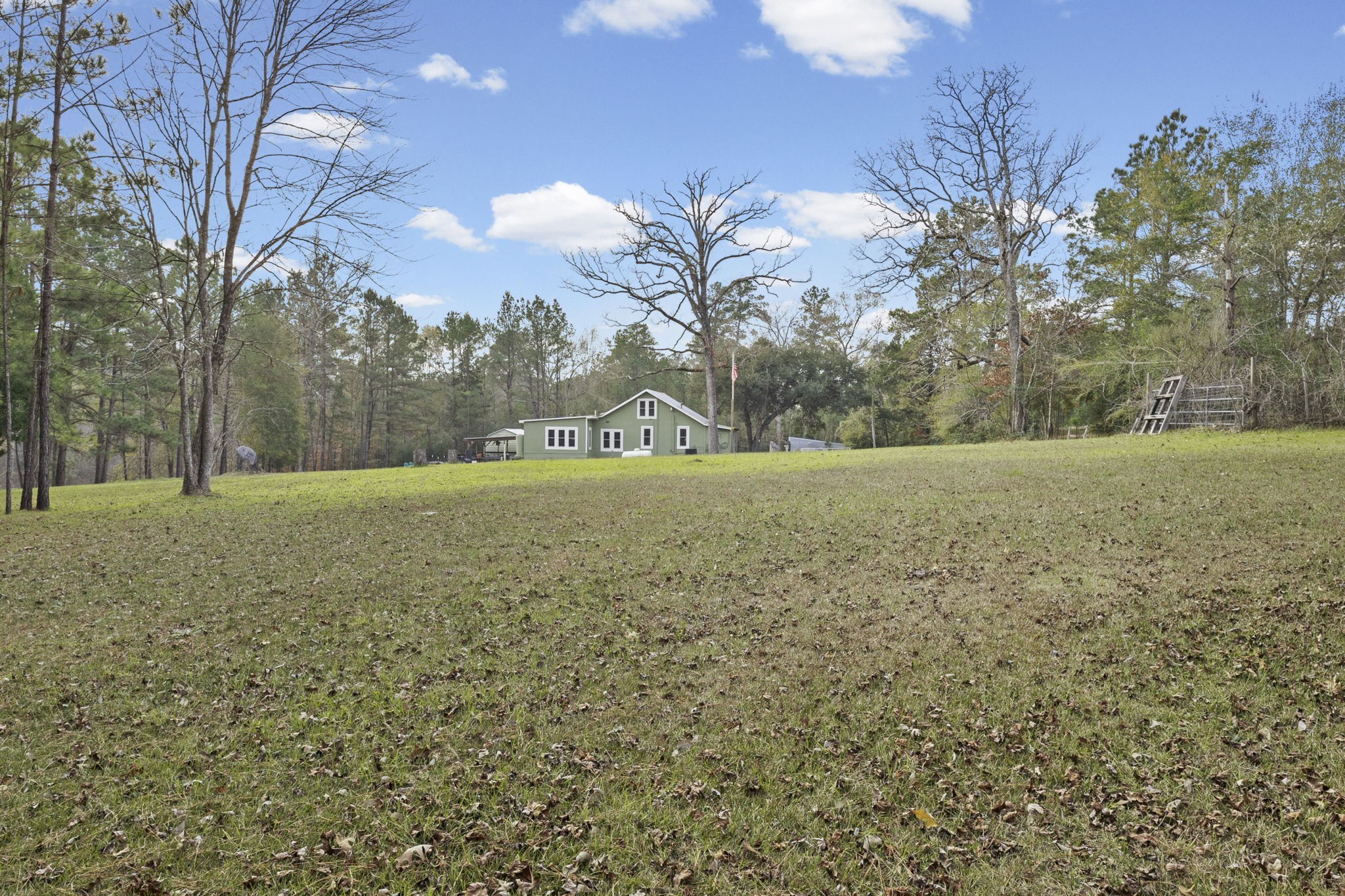 12498 Highway 69 Colmesneil, TX 75938 - Photo 48 of 50 a view of a field with an trees