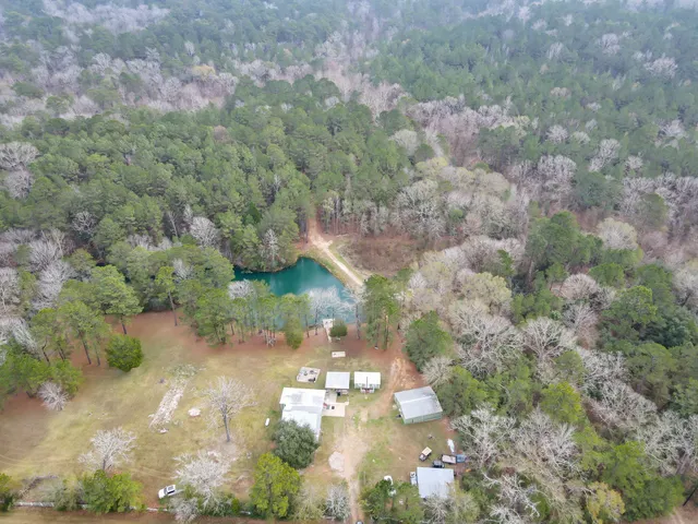 $675,000 | 12498 Highway 69, Colmesneil, TX 75938