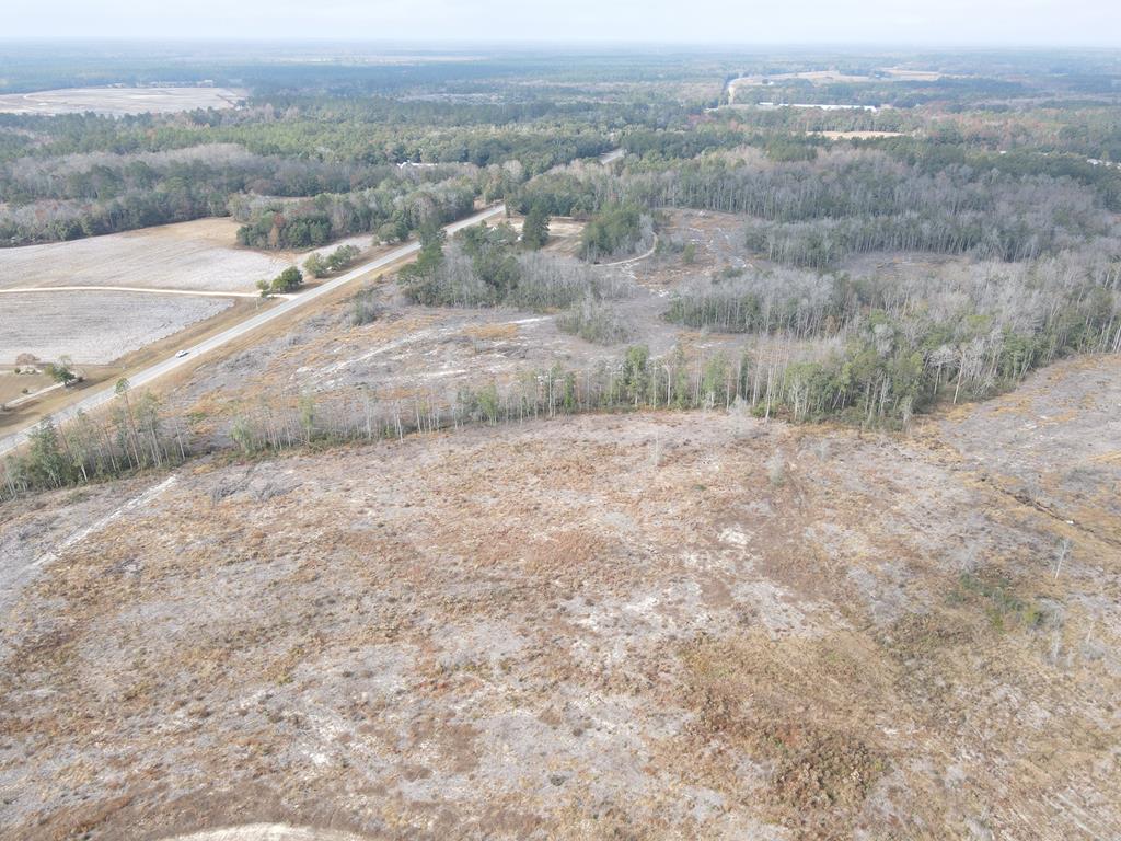 87 Samson Al Samson, AL 36477 - Photo 2 of 22 Parcel "F" aerial