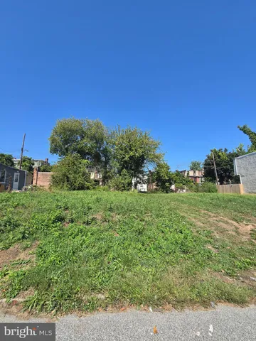 a view of a field of grass and trees