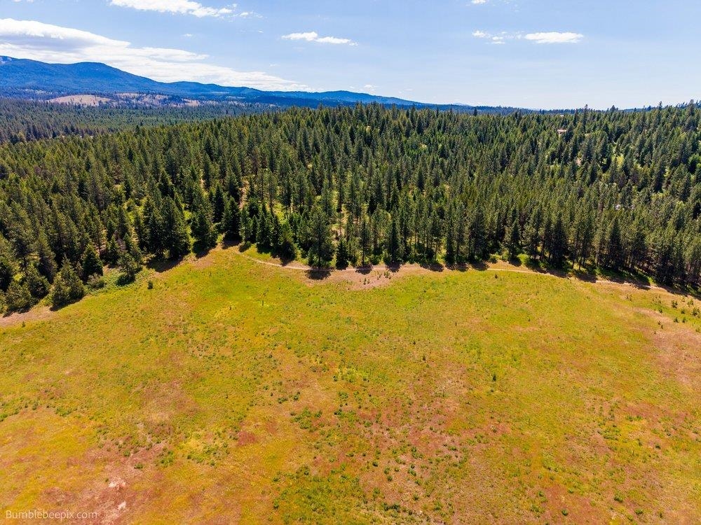 10307 Jasmine Lane Chattaroy, WA 99003 - Photo 10 of 49
