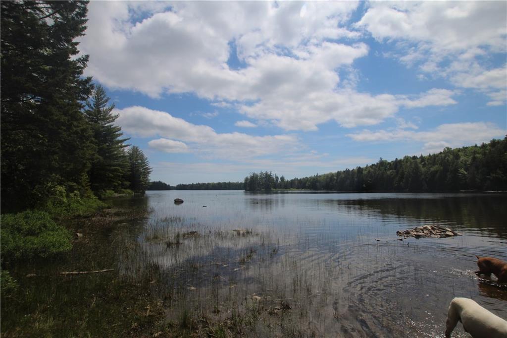 Lot 405 Deer Haven Road Wesley, ME 04686 - Photo 8 of 13 Long Lake