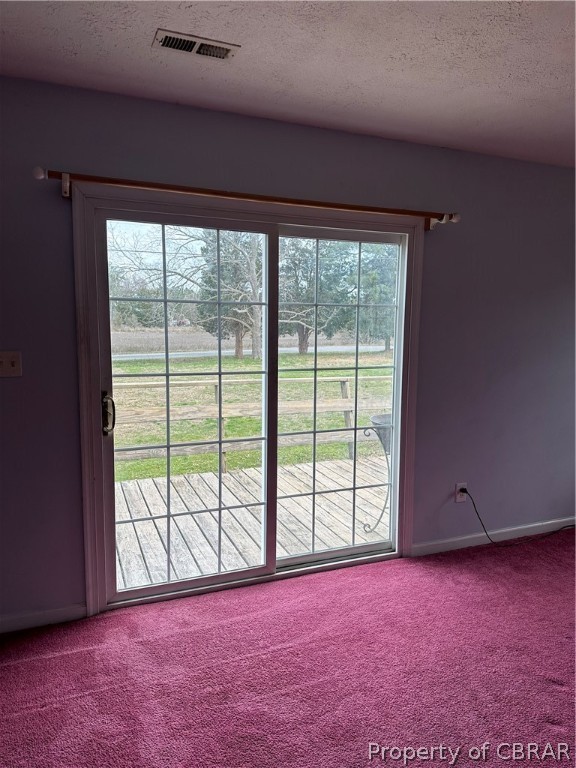 2391 Bethal Beach Road Onemo, VA 23130 - Photo 20 of 29 Empty room featuring carpet and a textured ceiling