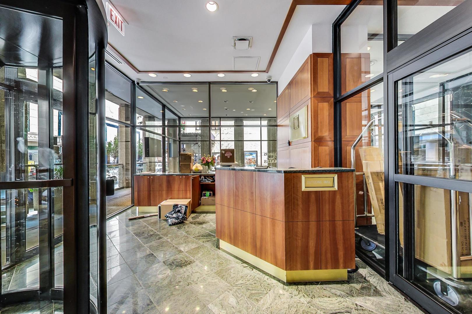 100 East Walton Street, Unit 42F Chicago, IL 60611 - Photo 7 of 52