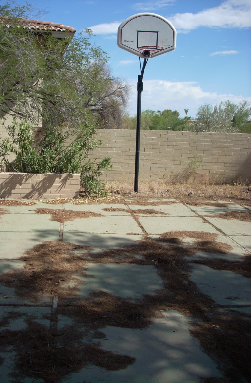 5350 East Palomino Road Phoenix, AZ 85018 - Photo 7 of 30 Sport Court